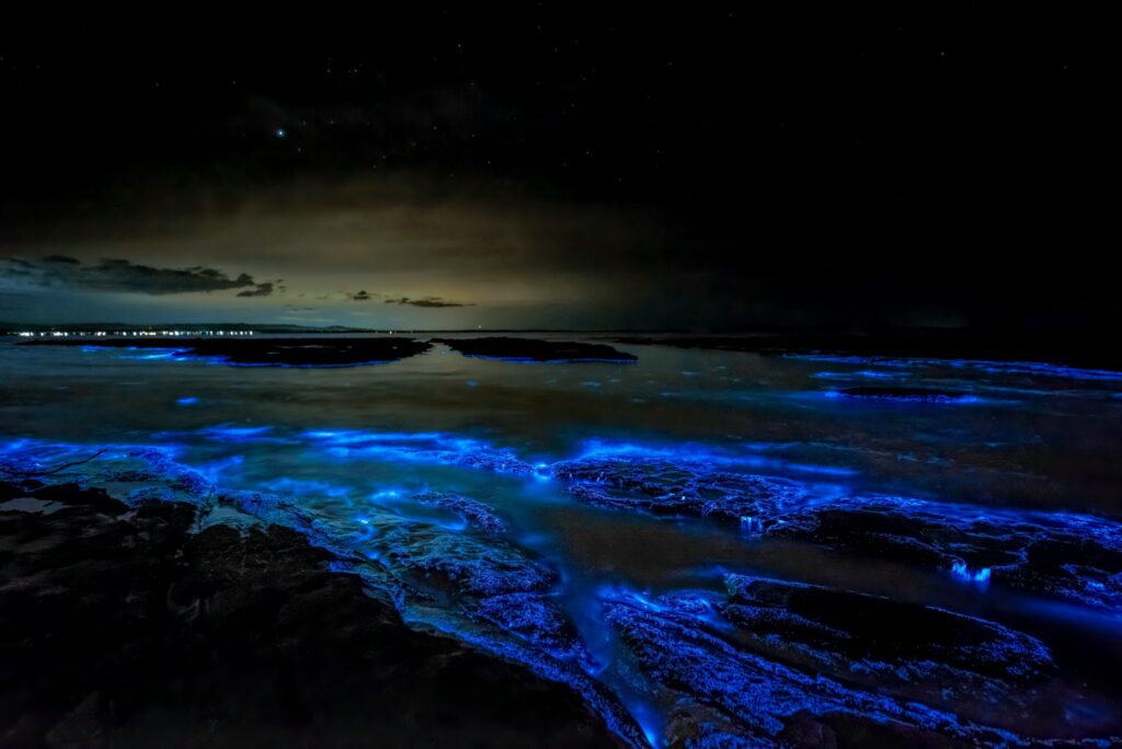 モルディブ・バッドホー島の夜光虫が青白く輝く海──新月の暗い夜に現れる幻想的な光景