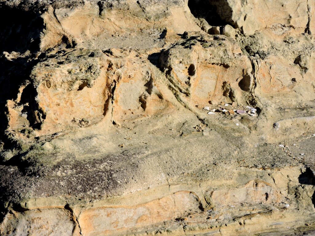 エチオピア・アファール地方を想起させる地層の断面──人類進化の化石が眠る大地の記録