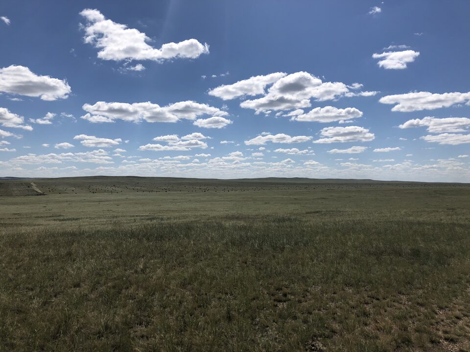 カザフ草原に広がるユーラシアステップの風景