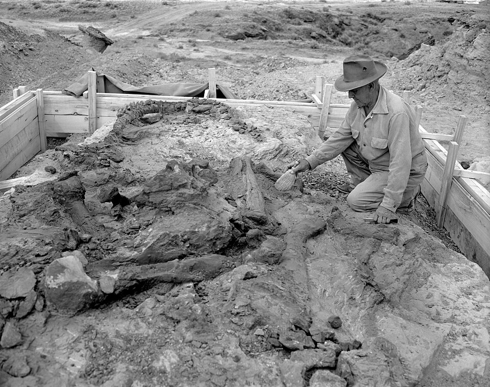 州立恐竜公園で発掘作業を行う研究者。大地に眠る恐竜の骨格を慎重に掘り出している様子。