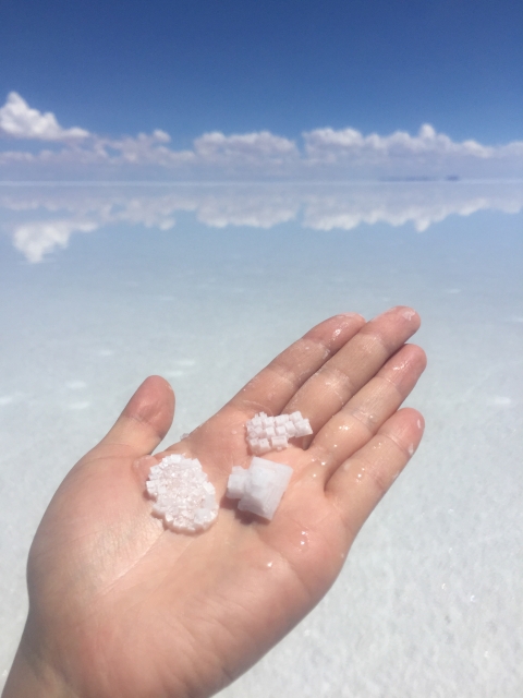 ウユニ塩湖の塩の結晶を手のひらにのせた様子。白く細かい結晶が光を反射している