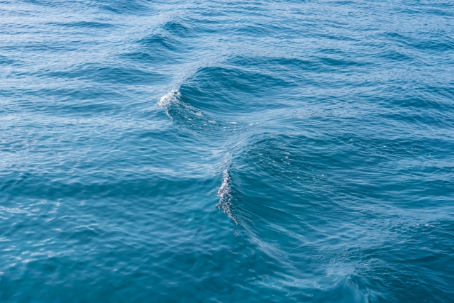 穏やかな海面に立つ小さな波。静かな航海の途中であることを感じさせる海の様子。