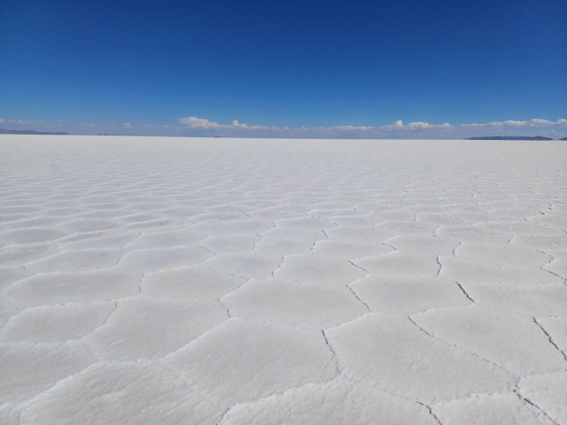 六角形に近いひび割れが広がる塩の大地