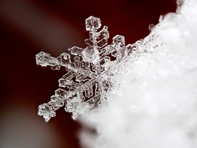 六方向に広がる対称性を持つ雪の結晶のクローズアップ
