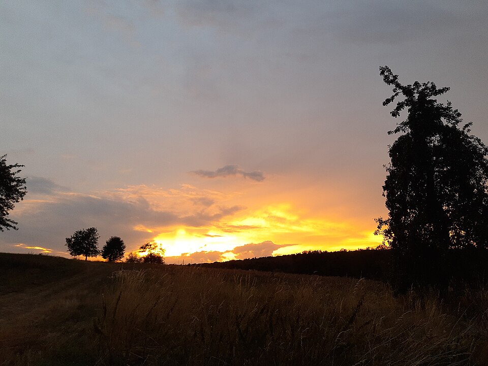 夕焼けに染まる草原と地平線へ続く道