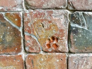グレンルース修道院の床タイルに残る猫の足跡